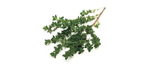 Herb Thyme 20g (Herbs Unlimited)