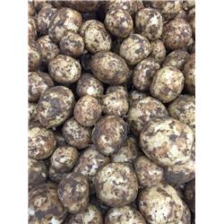 Potatoes Norfolk New