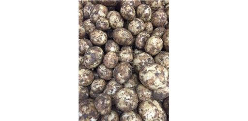 Potatoes Norfolk New