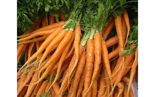 Organic Carrots Bunched