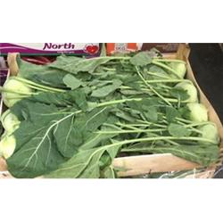 Kohlrabi
