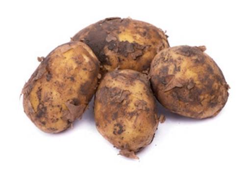 Cornish New Potatoes "500g Pack"