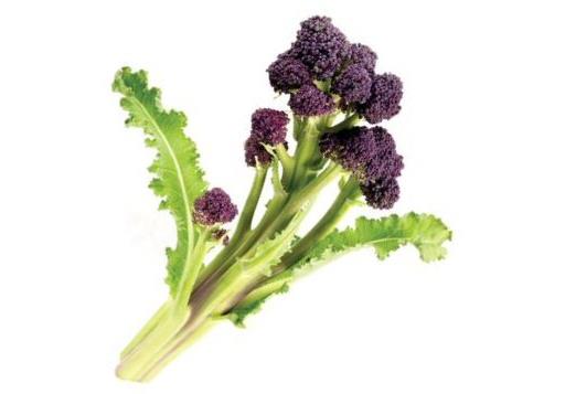 Broccoli Purple Sprouting LARGE BUNCH