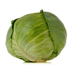 Cabbage Primo