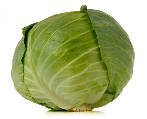 Cabbage Primo