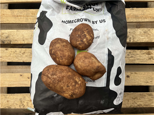 Organic Baking Potatoes