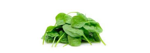 Spinach