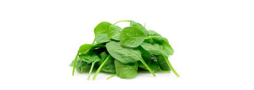 Spinach