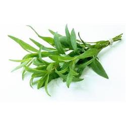 Herb Tarragon 20g (Herbs Unlimited)
