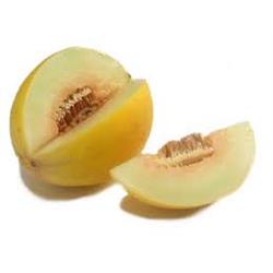 Melon Honeydew XL