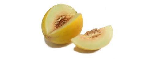Melon Honeydew XL